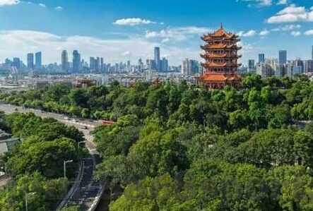 九游游戏中心app官方下载-选择靠谱平台，九游游戏中心APP的官方下载体验