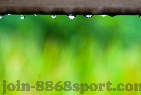 足球vs比分直播-足球狂欢夜，实时比分直播背后的激情与策略